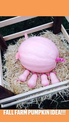 a fake pig sitting on top of hay in a wooden chair with pink decorations around it