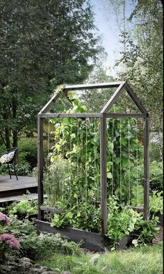 an outdoor garden with various plants growing in it