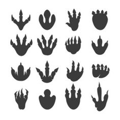 black silhouettes of plants and leaves on a white background, set of nine images