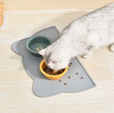 a cat eating food out of a bowl