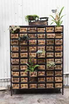 an old wooden crate filled with lots of planters and plants on top of it