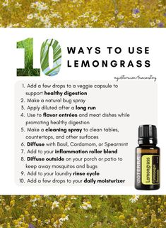 Uses For Lemongrass Essential Oil, Doterra Lemongrass Uses, Lemon Grass Essential Oil Benefits, Lemongrass Uses, Lemongrass Oil Benefits, Lemongrass Benefits, Lemongrass Essential Oil Benefits, Doterra Lemongrass