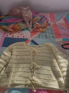 a cat laying on top of a bed next to a crocheted blanket and sweater