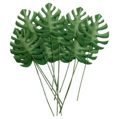 green leaves are arranged on top of each other in the shape of a leafy plant