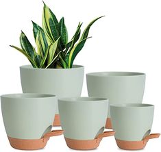 four planters and three cups are shown in front of a white background