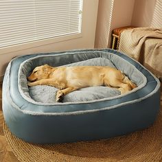 Large Warm Deep Sleeping Bed Orthopedic Dog Bed for Sale Sleeping Bed, Covered Dog Bed, Orthopedic Dog Bed, Dog Bed Large, Sleeping In Bed, Medium Sized Dogs, Winter Dog, Sleeping Dogs, Deep Sleep