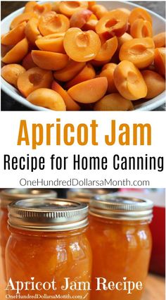 apricot jam recipe for home canning with text overlay that reads, apricot jam recipe for home canning