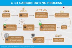 the diagram shows how carbon dating process works