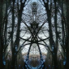 an abstract image of trees and the sky