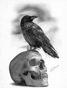 a black bird sitting on top of a skull