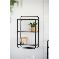 a black metal shelf with two shelves holding plants and potted plants on it, against a white wall