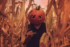 a person wearing a pumpkin mask in a corn field