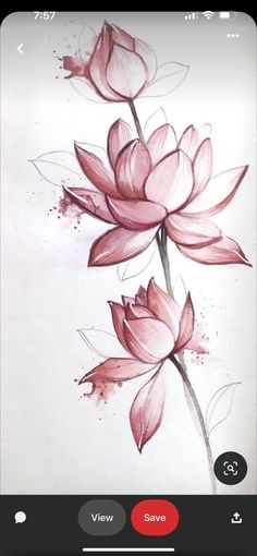 a drawing of two pink flowers on a white paper