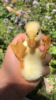 a hand holding a small yellow duck with leaves on it