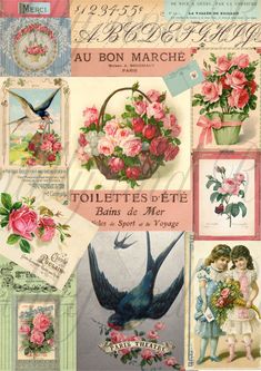 a collage of images with flowers and birds