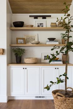 a potted plant sitting on top of a wooden shelf next to white cupboards