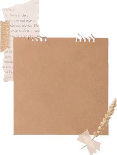 a piece of brown paper with torn papers on it