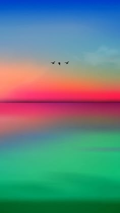 two birds are flying over the water at sunset or sunrise with colorful sky and clouds