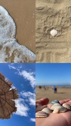 there are four different pictures with sand and shells