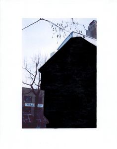 an old black building with birds sitting on the roof and tree branches in front of it