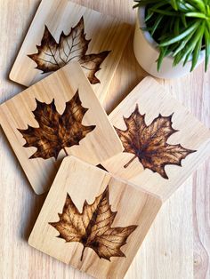 four wooden coasters with maple leaves on them sitting on a table next to a potted plant