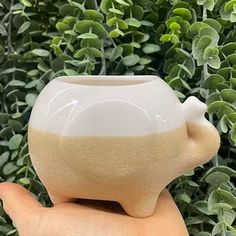 a hand holding a white and brown vase in front of some bushes with green leaves