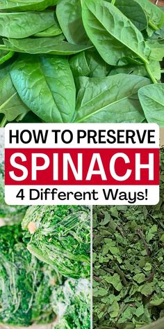 spinach and other vegetables with the words how to preserve spinach 4 different ways