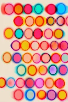 multicolored circles are arranged on a white background