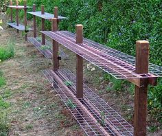 several metal shelves in the middle of a garden