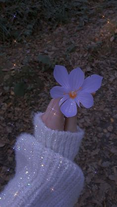 a person holding a purple flower in their hand