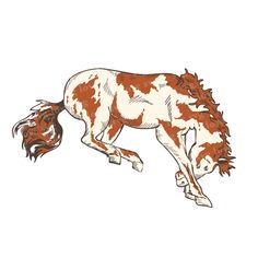 a brown and white horse is jumping in the air with its tail spread wide open