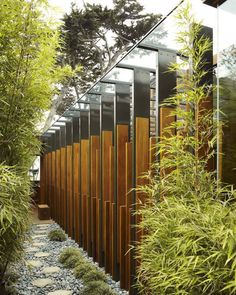 an outdoor area with plants and rocks on the ground