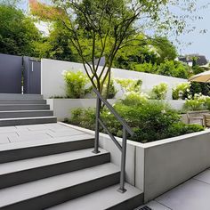 an outdoor patio area with stairs, trees and plants on the side of the building