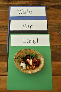 the words water, air, land are displayed in front of a bowl of food