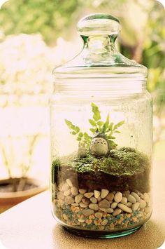 a glass jar filled with rocks and plants