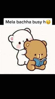 a teddy bear reading a book with the caption mea bacha busy h