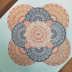 an orange and black flower on white paper