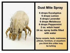 Dust Mite Spray, Bug Spray Recipe, Essential Oils Cleaning, Bug Spray, Homemade Cleaning Products, Natural Cleaning, Room Smells, Young Living Oils, Household Cleaning Tips