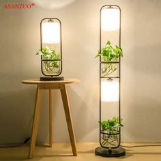 two planters with plants growing in them sitting on a table next to a mirror