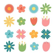 a bunch of flowers that are in different colors