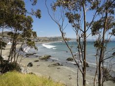 the beach is surrounded by trees and water with a pier in the distance on a sunny day