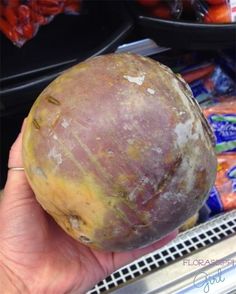 a person holding up a large potato in their hand