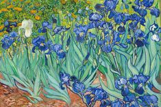 a painting of blue irises in a garden