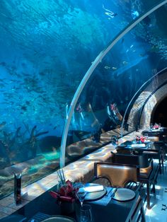 a restaurant with an aquarium in the background