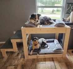 two dogs laying on their beds in the middle of a room with wooden flooring