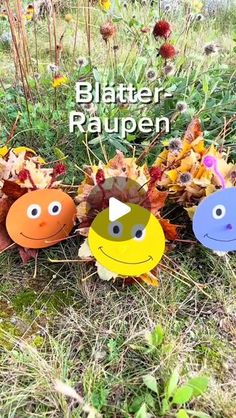 three colorful plastic faces are sitting in the grass with leaves and flowers behind them that say, blatter raupen