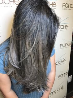 Ash Brown Low Lights On Dark Hair, Subtle Low Lights For Dark Hair, Purple Low Lights For Black Hair, Purple Low Lights Brown Hair, Cool Tone Lowlights Dark Brown, Subtle Brunette, Gray Blending, Grey Blending, Pelo Cafe