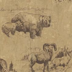 an image of animals that are drawn in pencil on the paper wallpaper murals