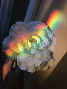 a white rose is being held up by someone's hand with a rainbow in the background