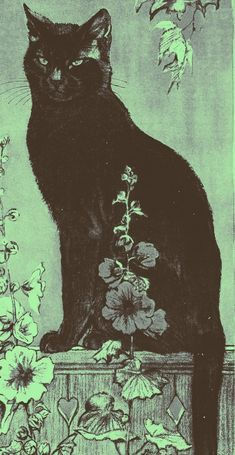 a black cat sitting on top of a table next to flowers